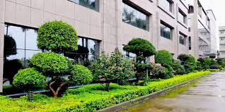 beat365官网 天长绿化苗木基地在哪个城市